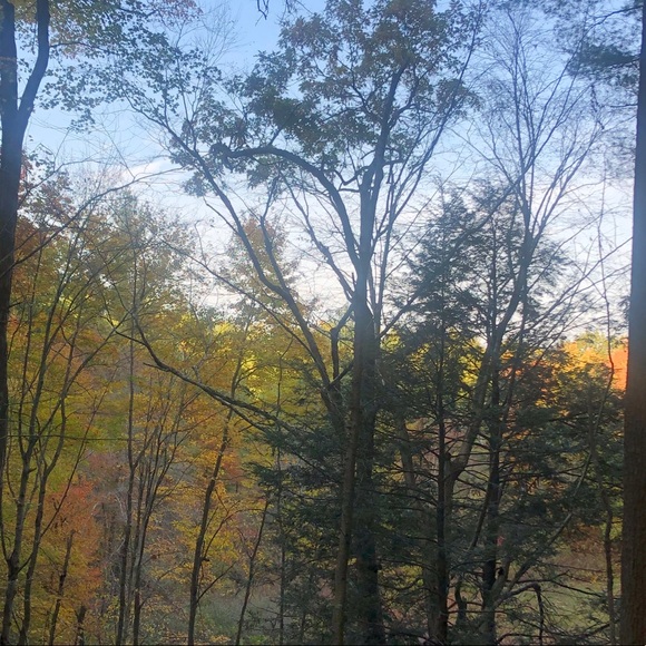 Meet your Posher, Adam - Picture 1 of 1